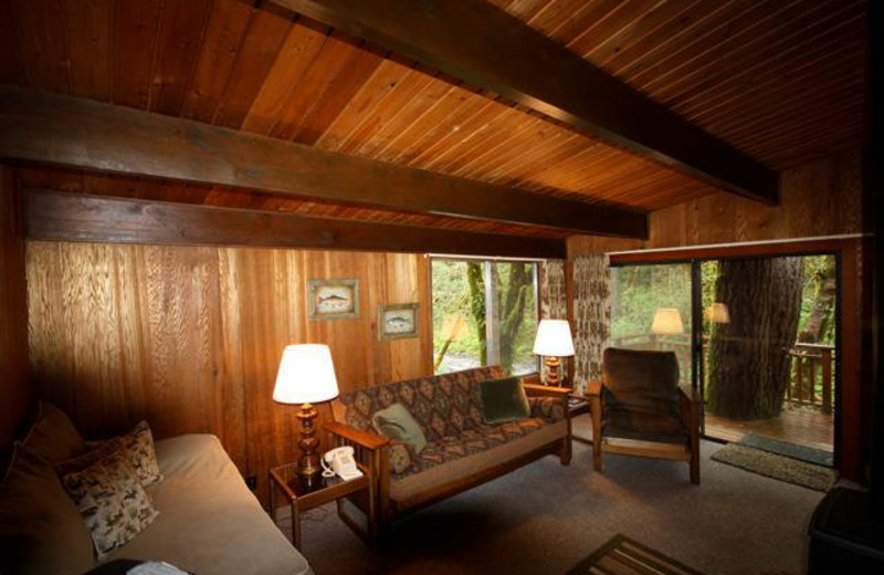 Cabin living room at The Wayfarer Resort.