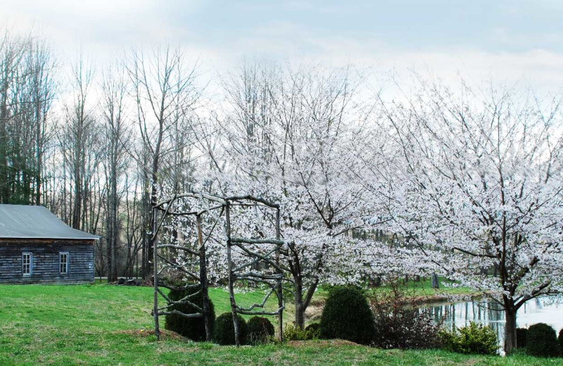Exterior view of Key Falls Inn.