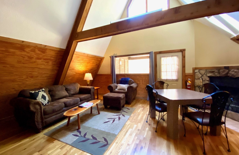 Cabin living room at Chalets in Hocking Hills.