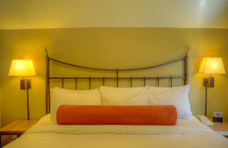 Guest room at Banff Caribou Lodge & Spa.
