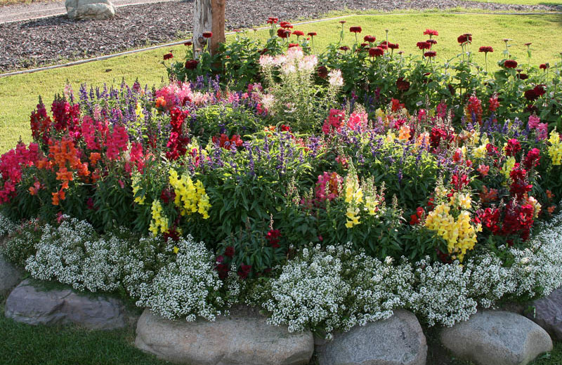 Garden at Glaciers' Mountain Resort.