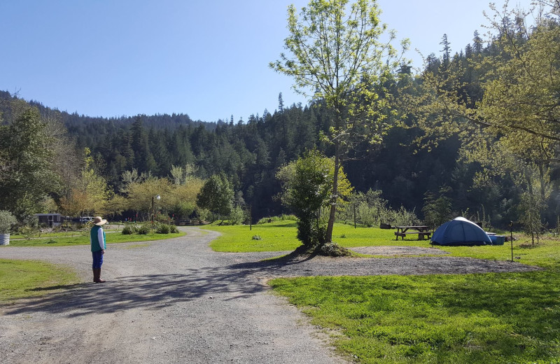 Ground at Giant Redwoods RV Park & Camp.