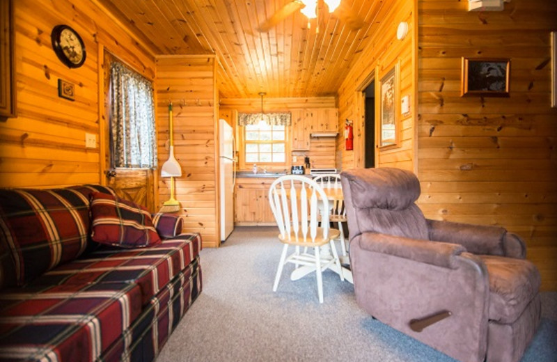 Cabin living room at Wilderness Bay Lodge and Resort