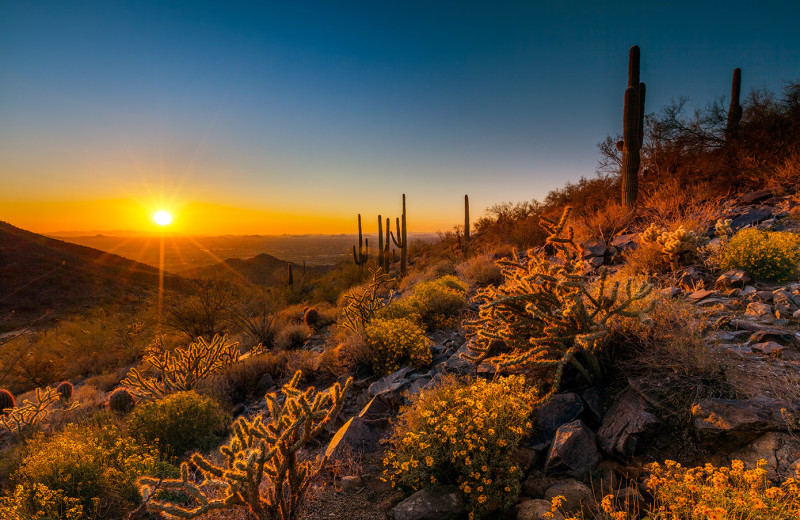 Scenic dessert view at Latitude 8 Vacation Rentals.