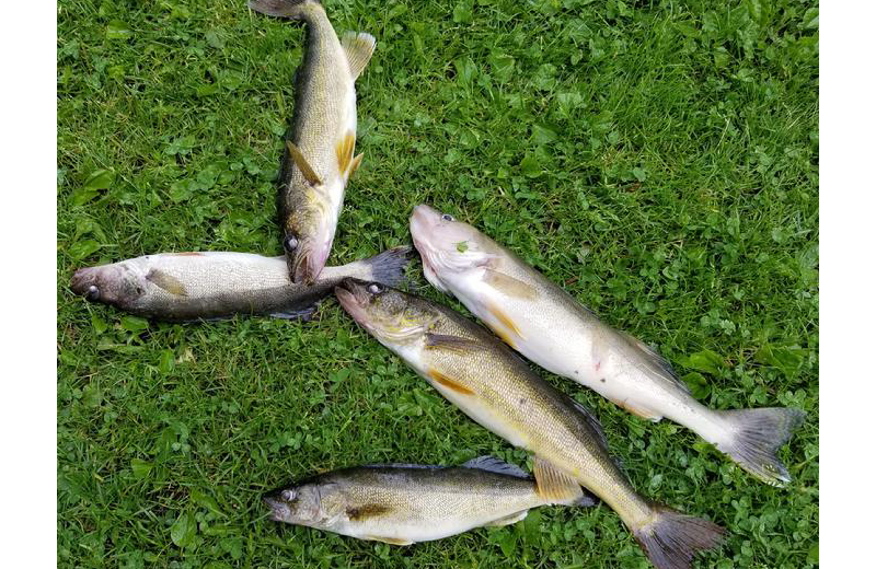 Fishing at Rising Eagle Resort.