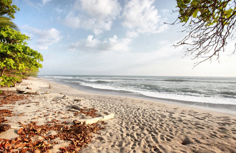 Beach at Star Mountain Eco Resort.