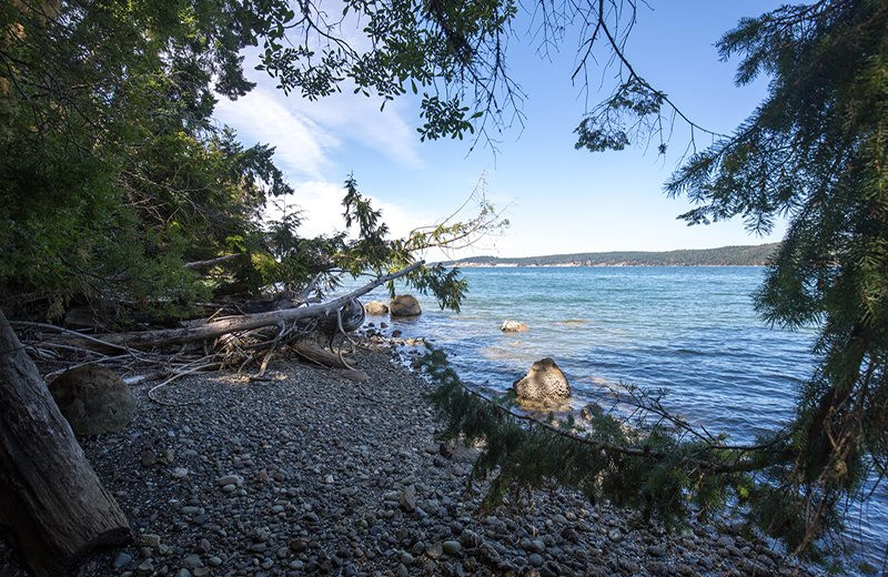 Beach view at Sequim Valley Properties.