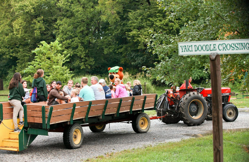 Hay rides at Yogi Bear's Jellystone Park Hagerstown.
