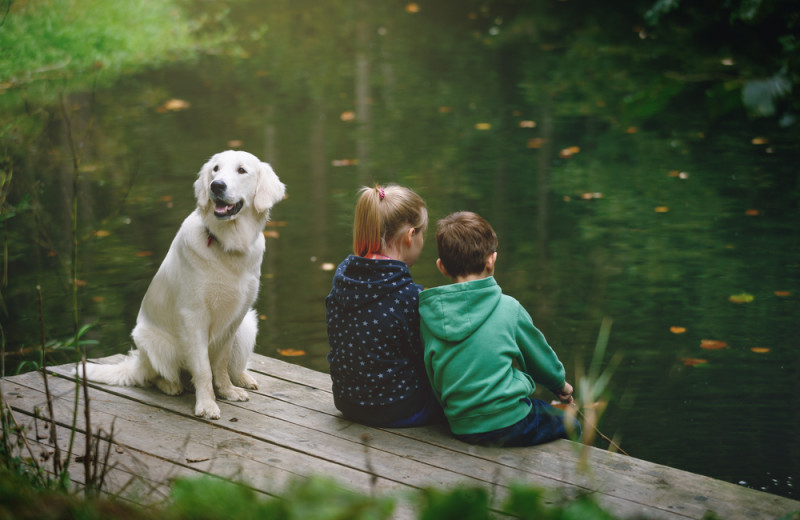 Pets welcome at Cabins at Dale Hollow.