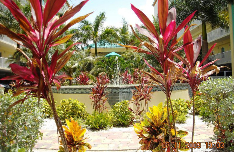 Tropical courtyard at Sunset Vistas.