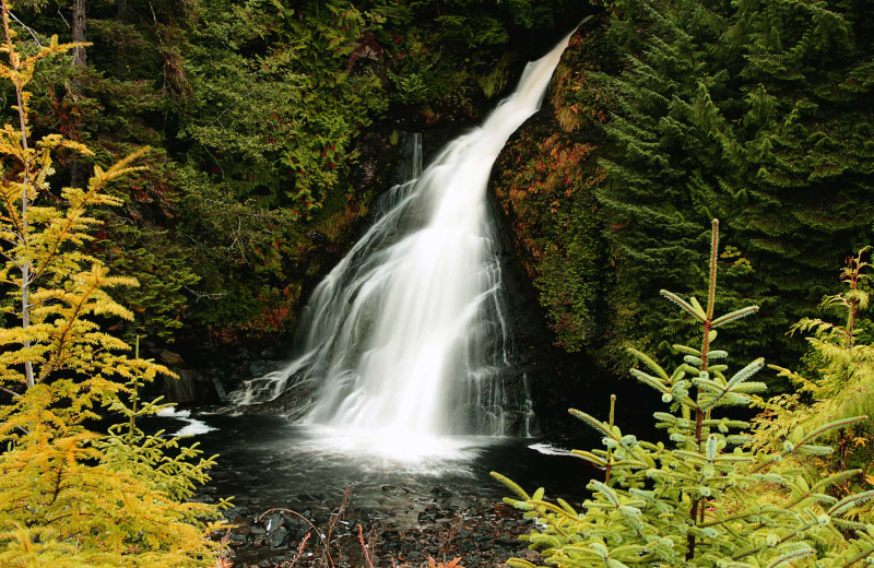 Waterfall at Salmon Falls Resort.