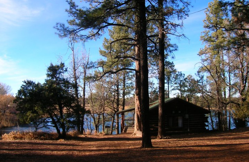 Cabin exterior at Lake Of The Woods.