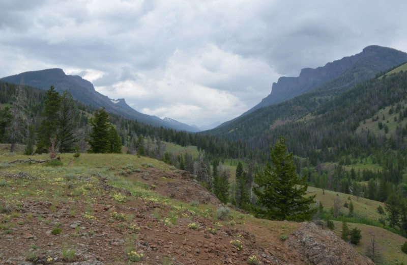 Mountains at Shoshone Lodge & Guest Ranch.