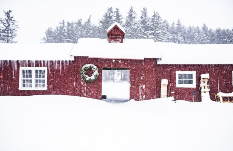 Edson Hill Horse Stables and Nordic Center Exterior