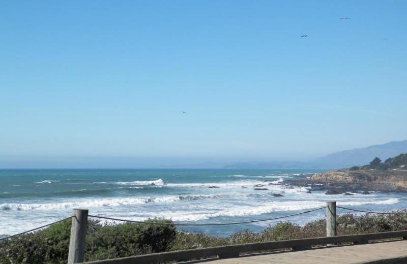 The beach at Sea Otter Inn.