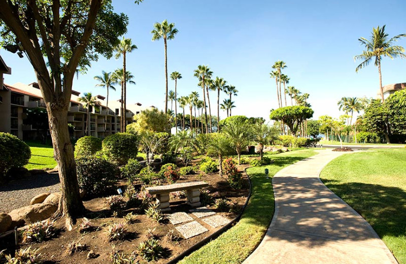 Outdoor grounds at Kamole Sands.