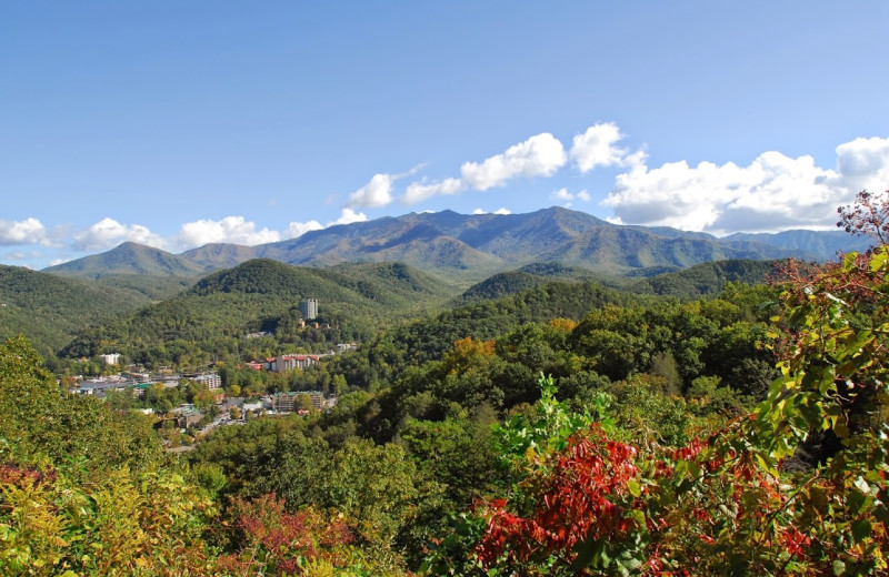 Mountain view at Chalet Village.