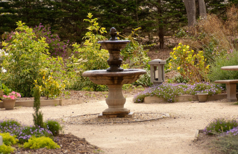 Garden at Carmel River Inn.