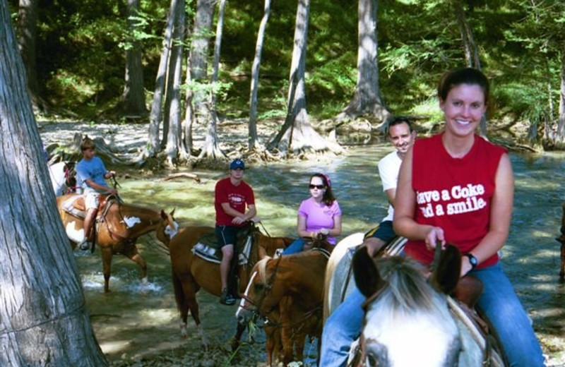 Horseback activities at Twin Elm Ranch.