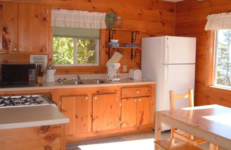 Cabin Kitchen at Everett Bay Lodge