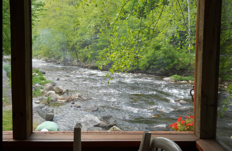 View from cabin porch at Yogi Bear's Jellystone Resort Cherokee.