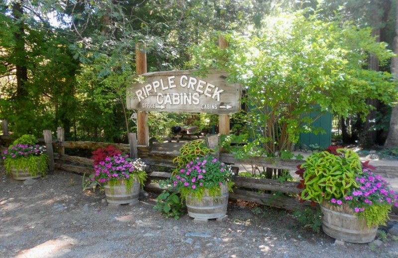 Welcome to Ripple Creek Cabins.