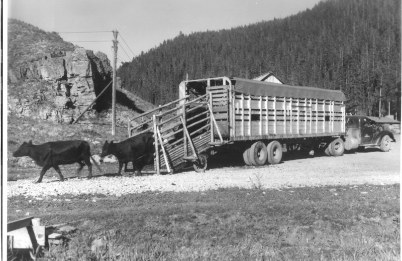 Historic photo of 320 Guest Ranch.