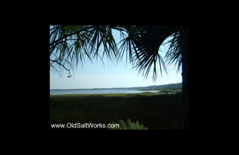 Old Saltworks Cabins (Cape San Blas, FL) - Resort Reviews ...