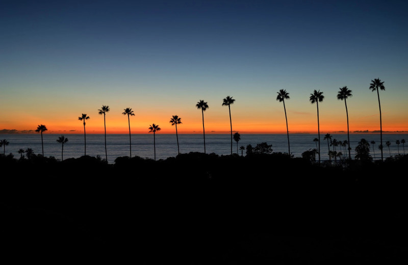 Beach at Beachfront Inn 