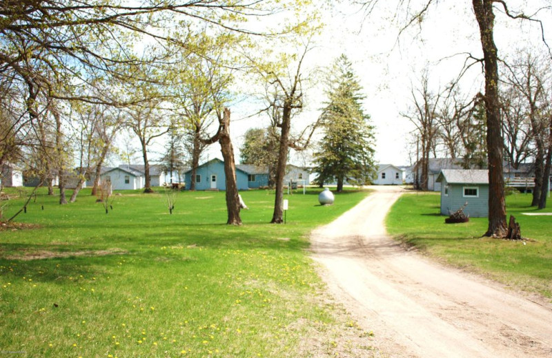 Cottages at Rush Lake Resort.