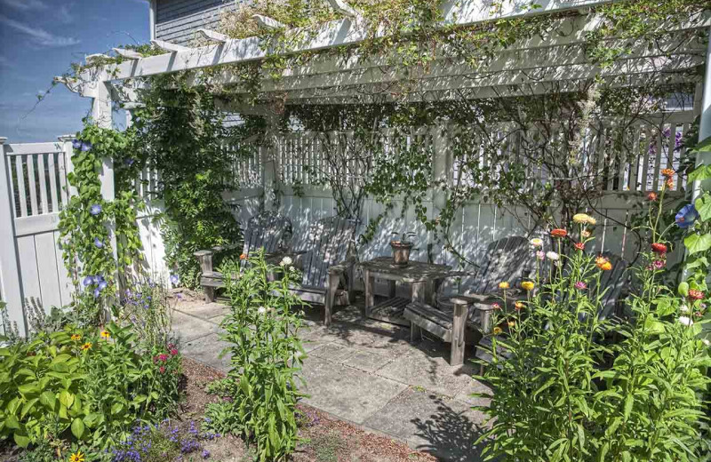 Patio at Cod Cove Inn.