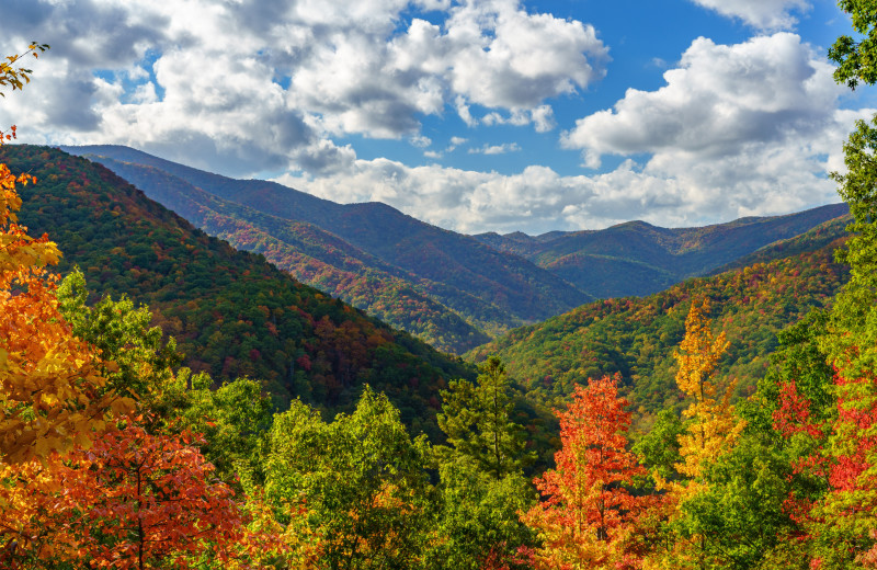 Cherohala Skyway near Sunset Farm Cabins.