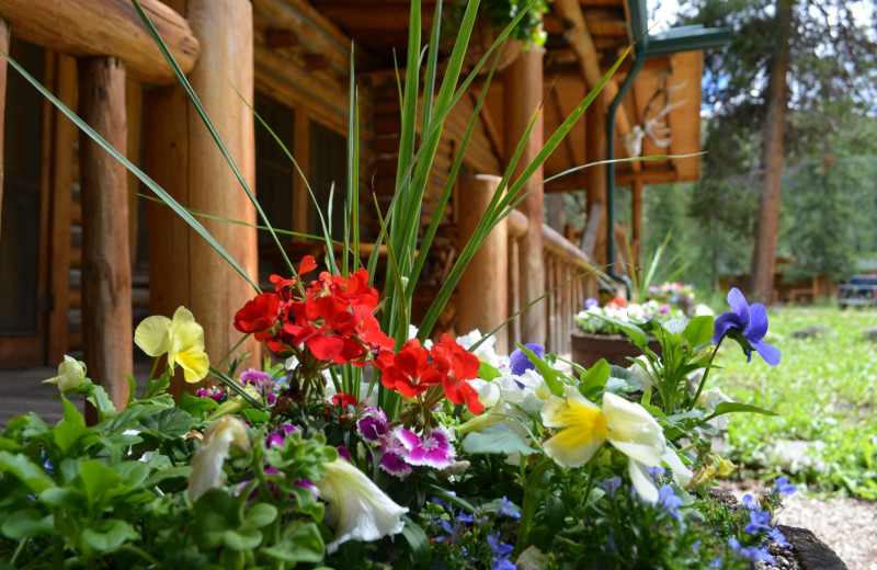 Exterior view of Shoshone Lodge & Guest Ranch.