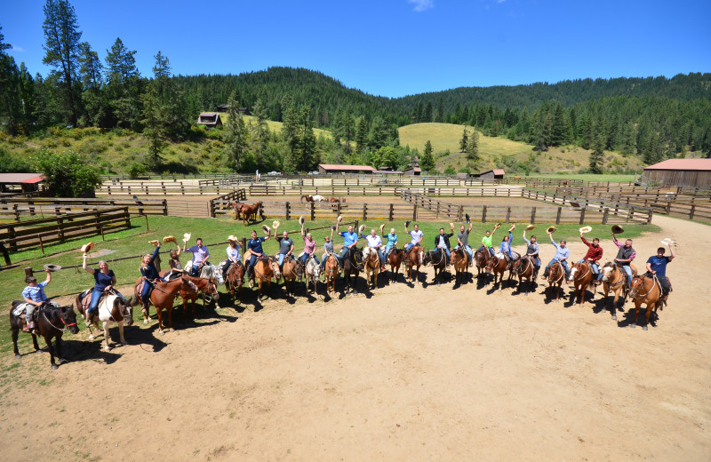 Horses at Red Horse Mountain Ranch.