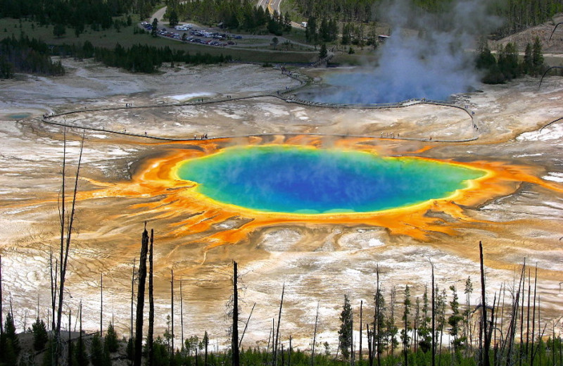 Yellowstone near Sawtelle Mountain Resort.