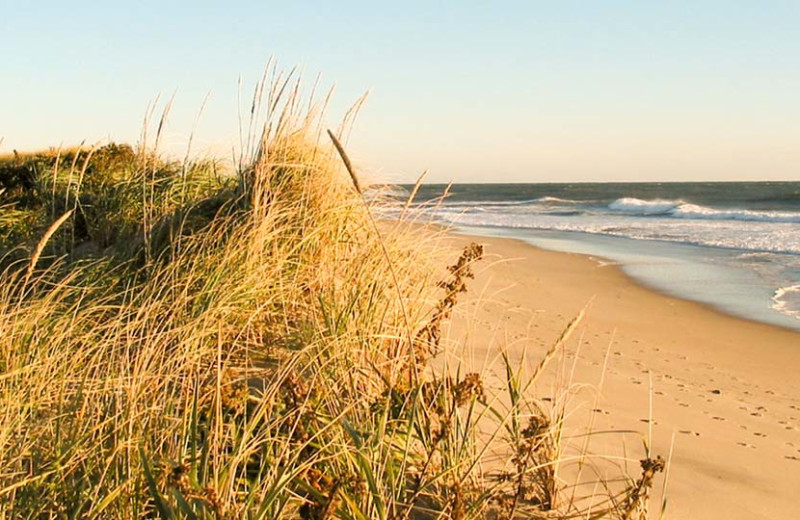 Beach at Carlisle House.