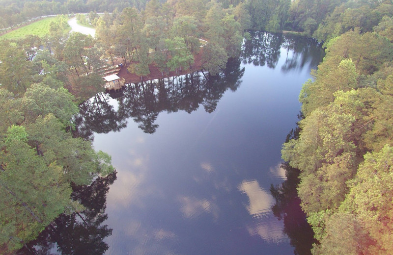 Lake at Cape Fear Vineyard and Winery.