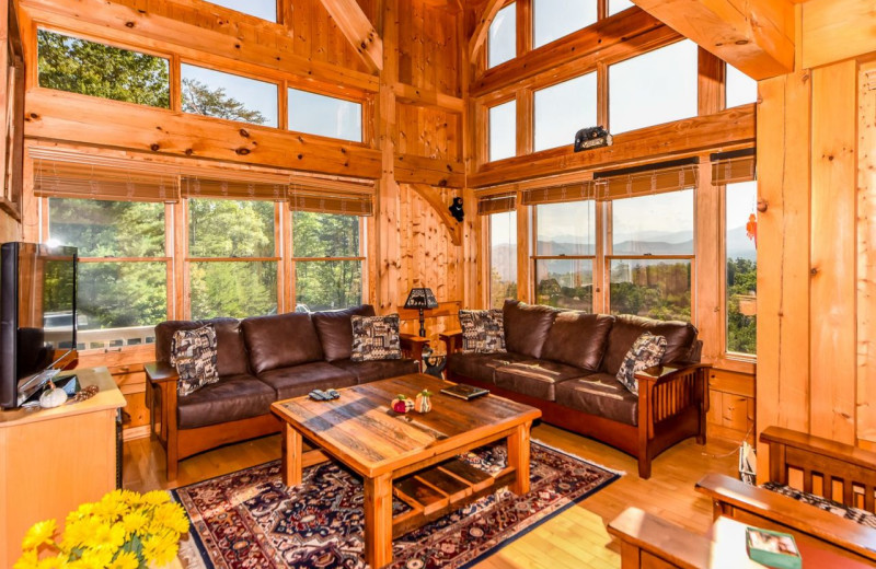 Cabin living room at Dogwood Cabins LLC.