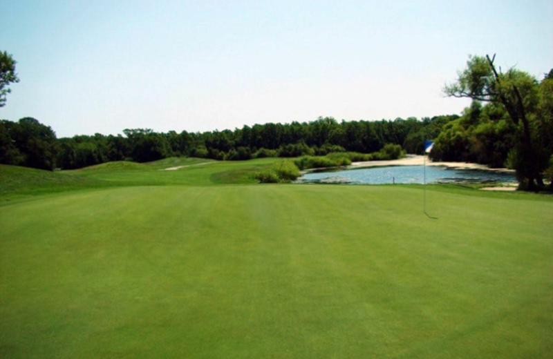 Golf course near Aquarius Motor Inn.