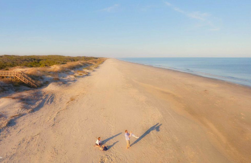 Beach at Hodnett Cooper.