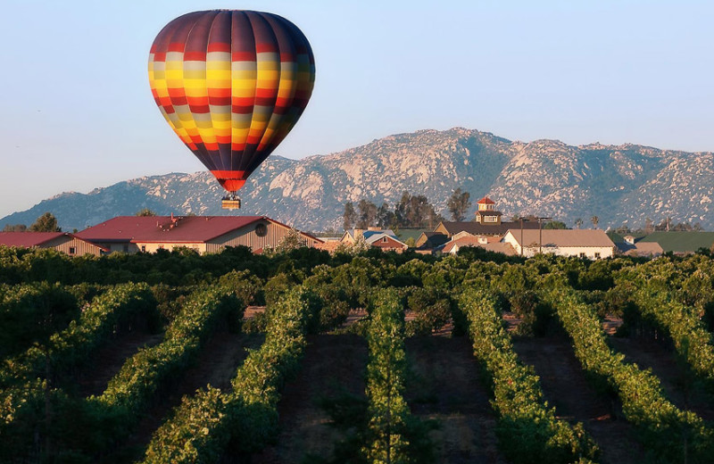 Hot air balloon ride near Pala Mesa Resort.