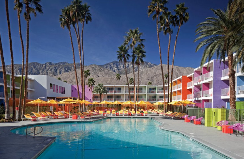 Outdoor pool at The Saguaro Palm Springs.