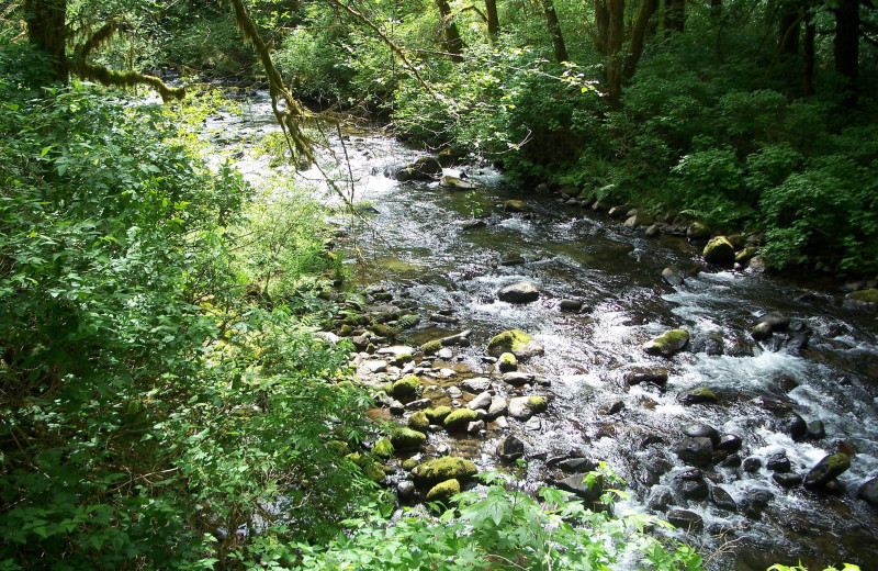 Creek near Old Town Inn.