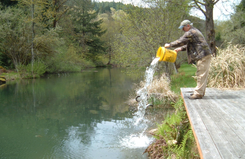 Fishing at The Wayfarer Resort.