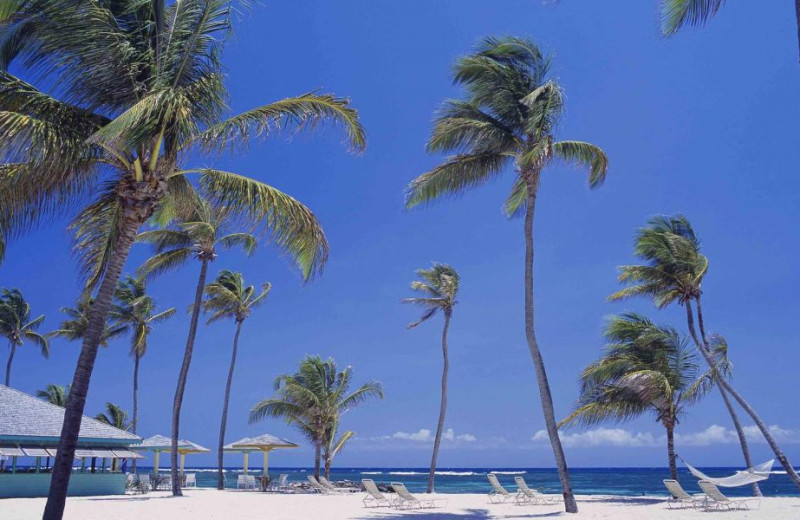 Beach at The Nisbet Plantation Beach Club.