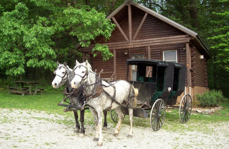 Amish carriage ride at Sunset Ridge Log Cabins