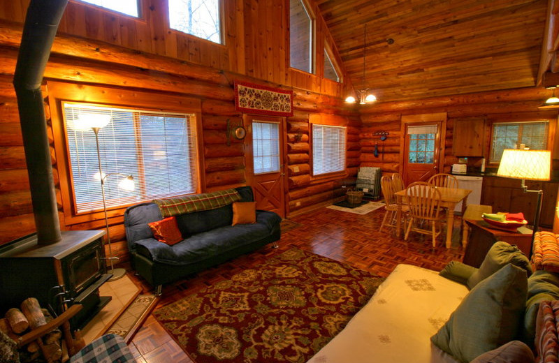 Cabin living room at Mt. Baker Lodging.