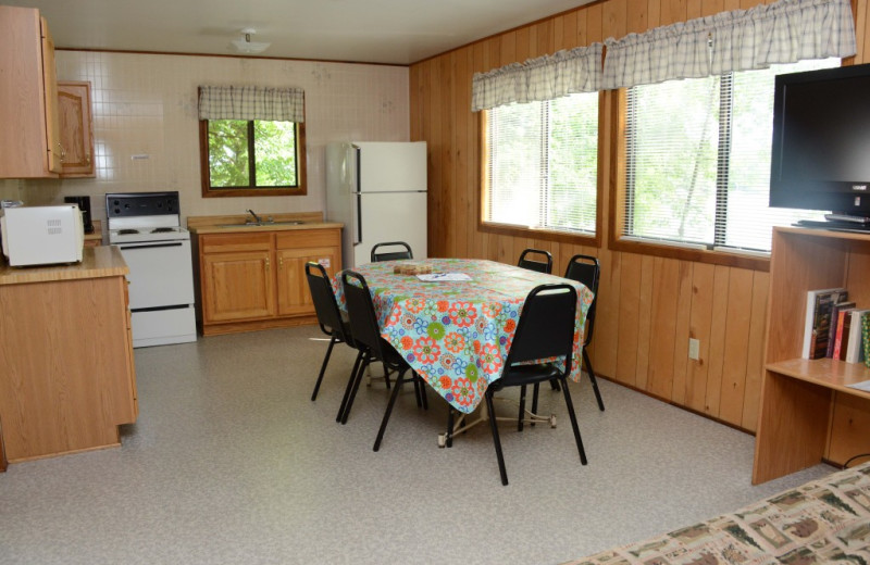 Cabin kitchen at Riverside Resort.