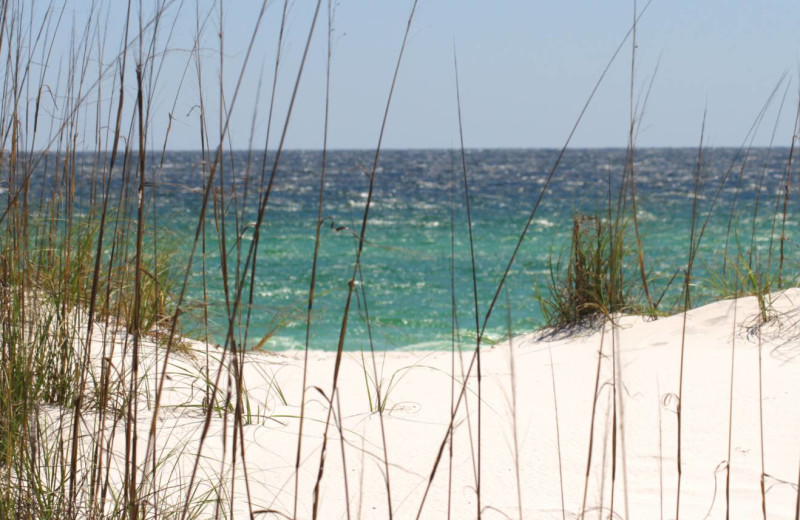 Beach at Paradise Gulf Properties.