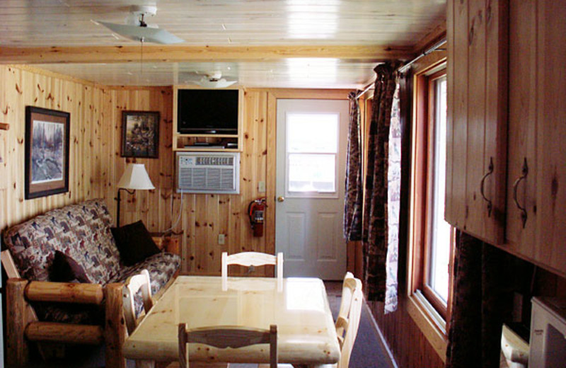 Cabin living room at Balsam Cabin on Elephant Lake.